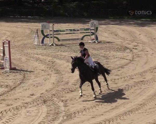 Reitturnier Neunkirchen-Salchendorf 2019