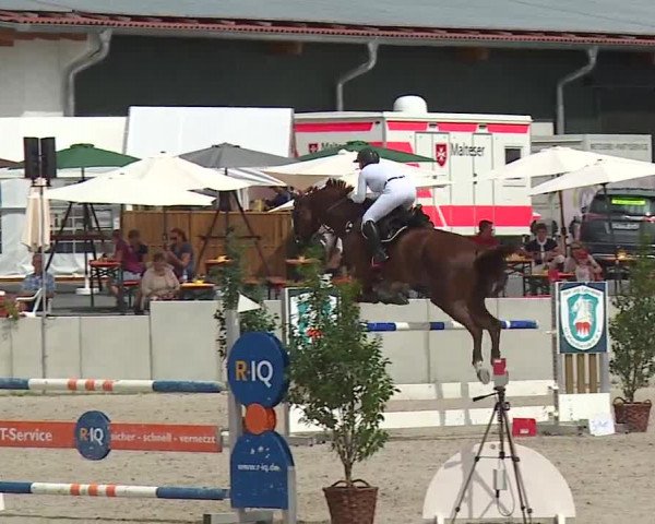 Reitturnier Grafenrheinfeld 2019