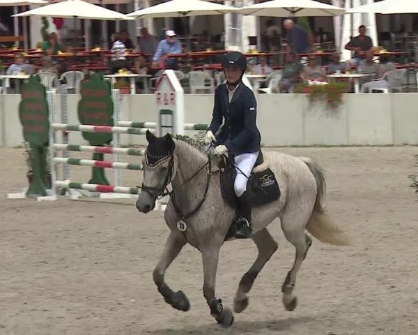 Reitturnier Grafenrheinfeld 2019