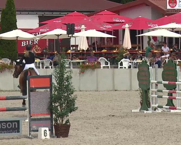 Reitturnier Grafenrheinfeld 2019