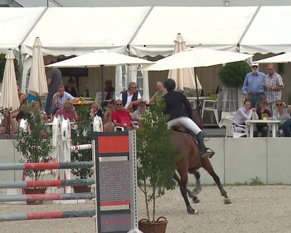 Reitturnier Grafenrheinfeld 2019