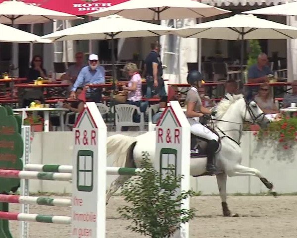 Reitturnier Grafenrheinfeld 2019