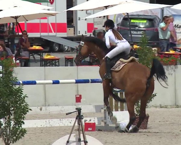 Reitturnier Grafenrheinfeld 2019