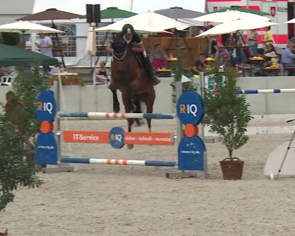 Reitturnier Grafenrheinfeld 2019