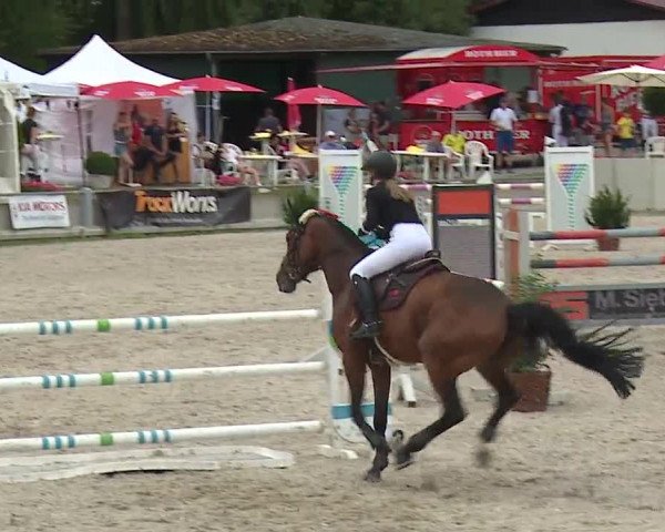 Reitturnier Grafenrheinfeld 2019