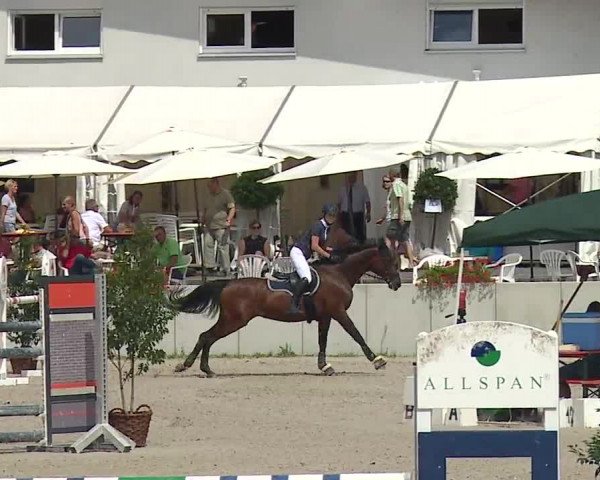 Reitturnier Grafenrheinfeld 2019