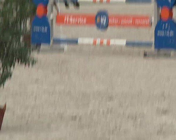 Reitturnier Grafenrheinfeld 2019
