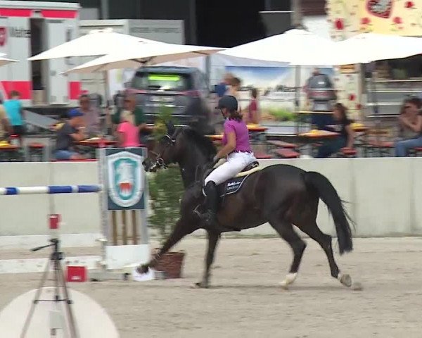 Reitturnier Grafenrheinfeld 2019