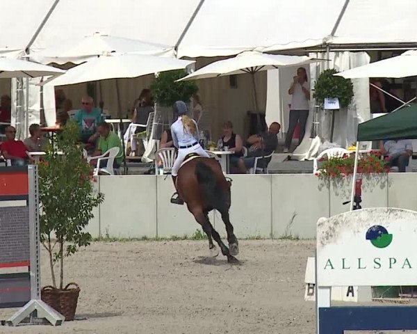 Reitturnier Grafenrheinfeld 2019