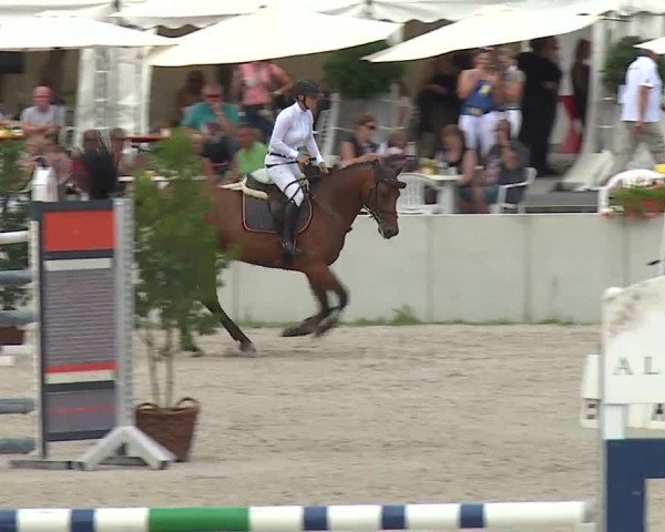 Reitturnier Grafenrheinfeld 2019