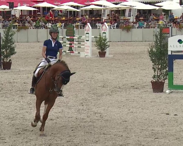 Reitturnier Grafenrheinfeld 2019