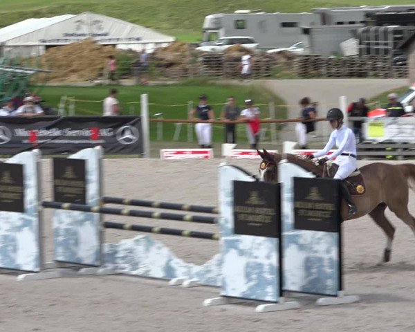 Reitturnier Zuoz 2019