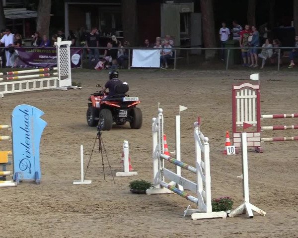 Reitturnier Neunkirchen-Salchendorf 2019