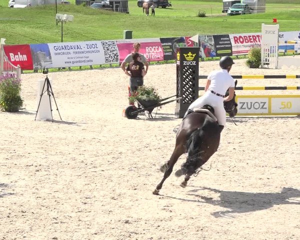 Reitturnier Zuoz 2019