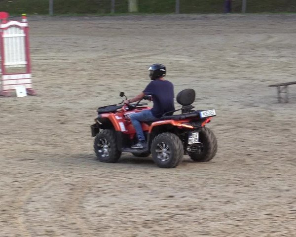 Reitturnier Neunkirchen-Salchendorf 2019