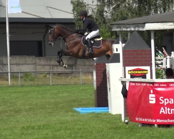 Reitturnier Gardelegen 2019
