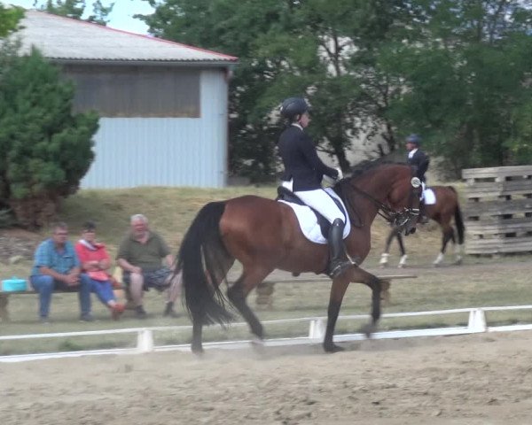 Reitturnier Gardelegen 2019