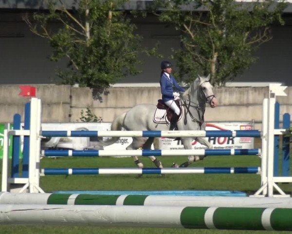 Reitturnier Gardelegen 2019