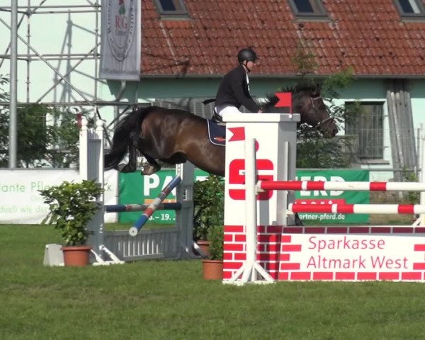 Reitturnier Gardelegen 2019