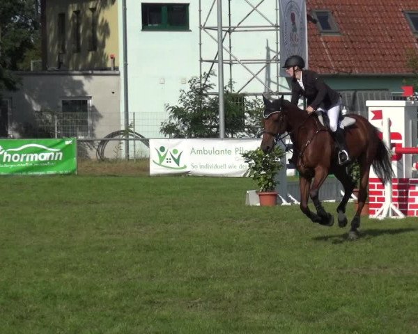Reitturnier Gardelegen 2019