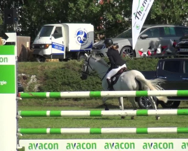 Reitturnier Gardelegen 2019