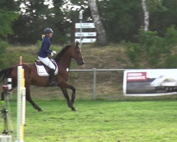 Reitturnier Gardelegen 2019