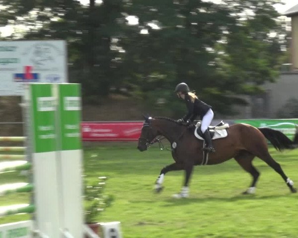 Reitturnier Gardelegen 2019