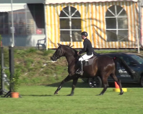 Reitturnier Gardelegen 2019
