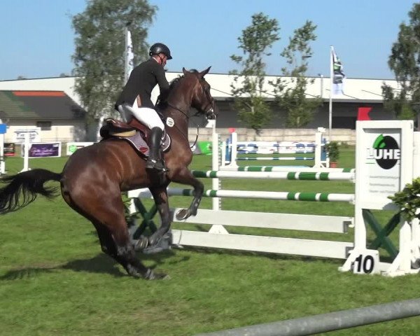 Reitturnier Gardelegen 2019