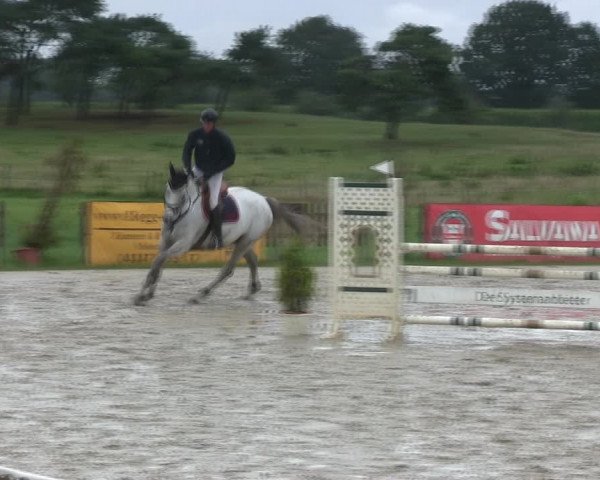 Reitturnier Schülp / Rendsburg 2019
