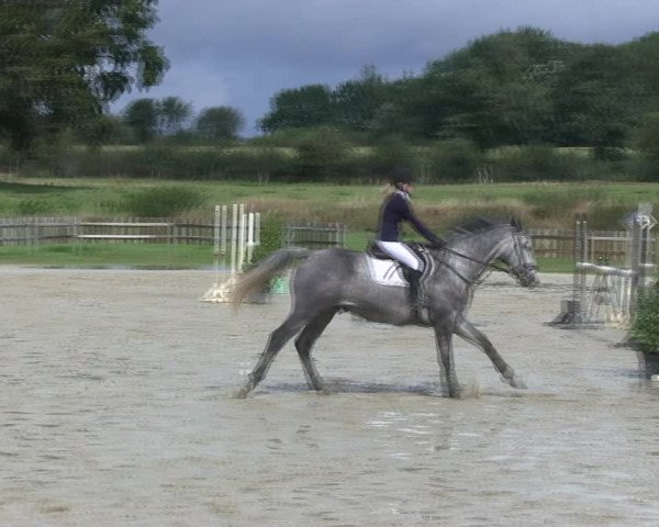 Reitturnier Schülp / Rendsburg 2019