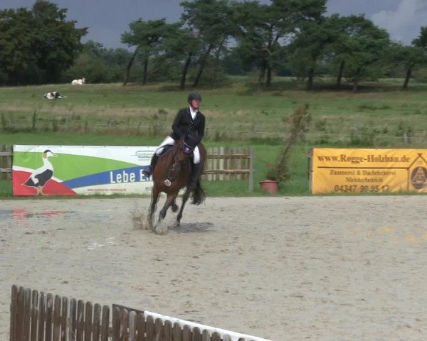Reitturnier Schülp / Rendsburg 2019