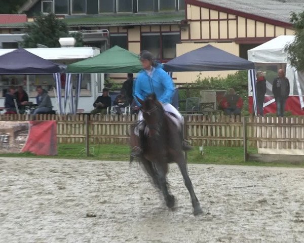Reitturnier Schülp / Rendsburg 2019