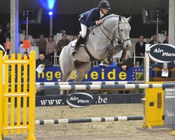 stallion Ivoir - S (Belgian Warmblood, 2008, from Clinton)