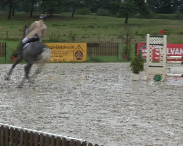 Reitturnier Schülp / Rendsburg 2019