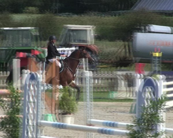 Reitturnier Schülp / Rendsburg 2019