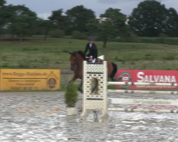Reitturnier Schülp / Rendsburg 2019
