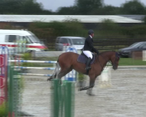 Reitturnier Schülp / Rendsburg 2019