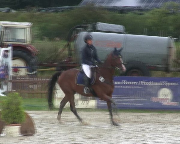 Reitturnier Schülp / Rendsburg 2019