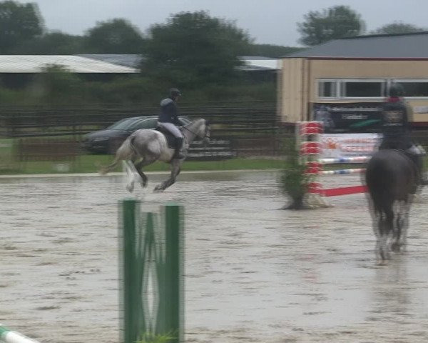 Reitturnier Schülp / Rendsburg 2019
