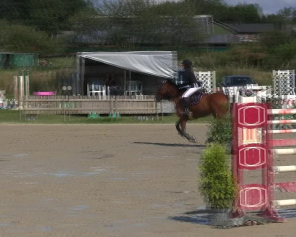 Reitturnier Schülp / Rendsburg 2019