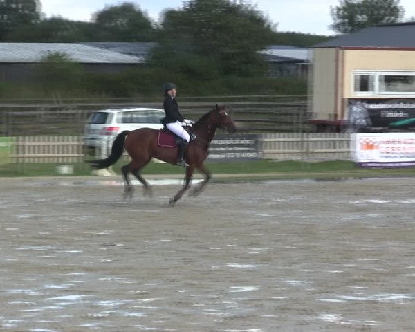 Reitturnier Schülp / Rendsburg 2019