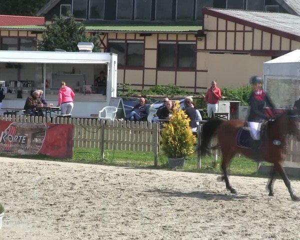 Reitturnier Schülp / Rendsburg 2019