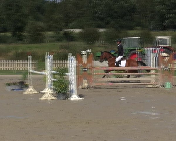 Reitturnier Schülp / Rendsburg 2019