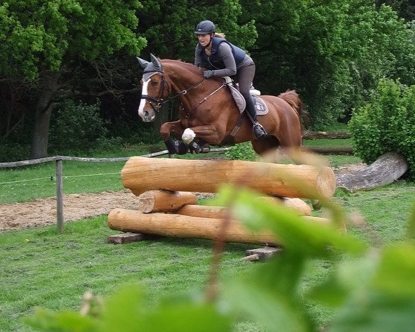 jumper Cartier R (Westphalian, 2003, from Couleur Rubin) jumper Cartier R (Westphalian, 2003, from Couleur Rubin)
