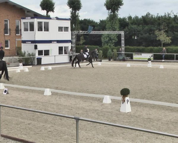 Reitturnier Durmersheim-Hardt 2019