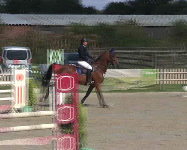 Reitturnier Schülp / Rendsburg 2019
