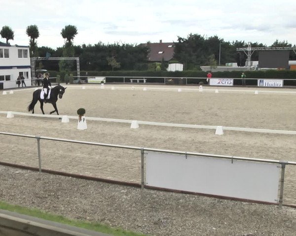 Reitturnier Durmersheim-Hardt 2019