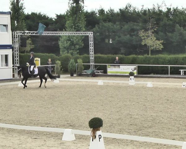 Reitturnier Durmersheim-Hardt 2019
