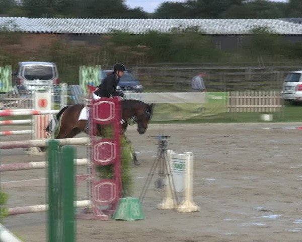 Reitturnier Schülp / Rendsburg 2019